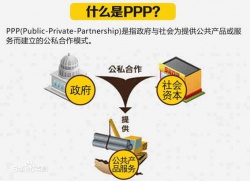 PPP （Public-Private Partnership）